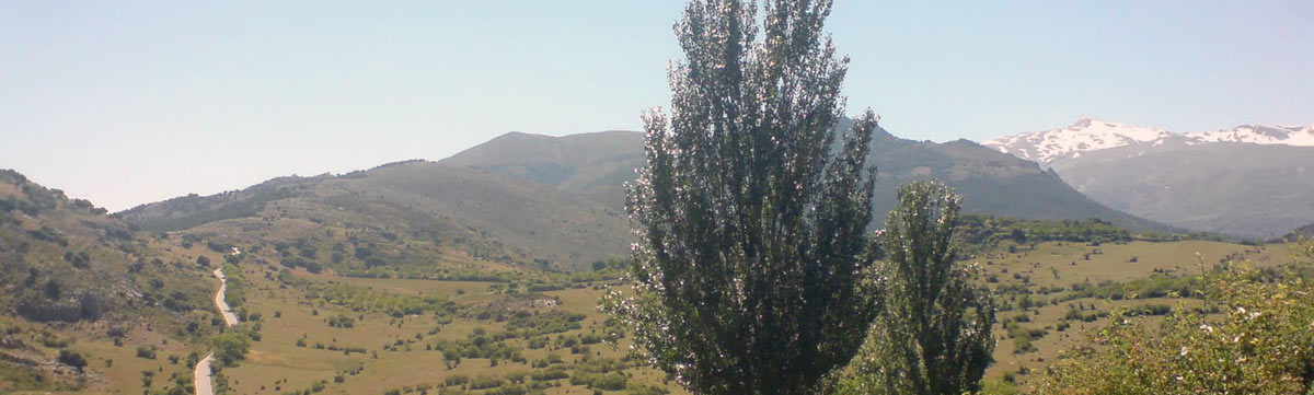 Excursiones familiares